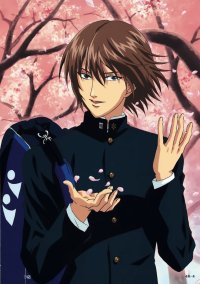 BUY NEW prince of tennis - 87812 Premium Anime Print Poster